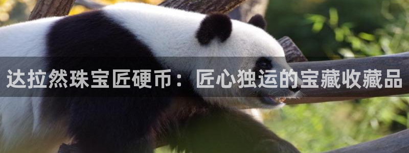 新宝5直属：达拉然珠宝匠硬币：匠心独运的宝藏收藏品