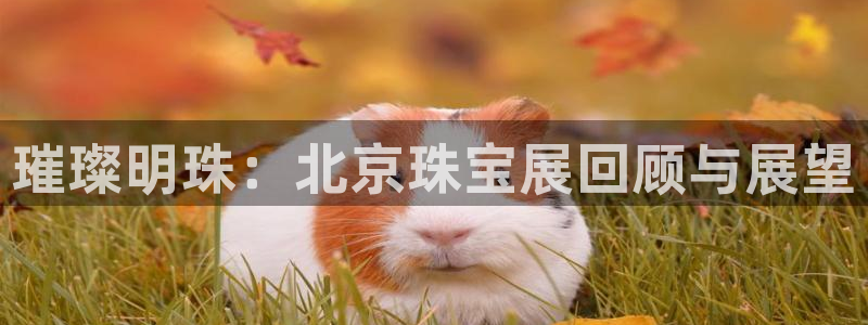 新宝5平台咋样：璀璨明珠：北京珠宝展回顾与展望