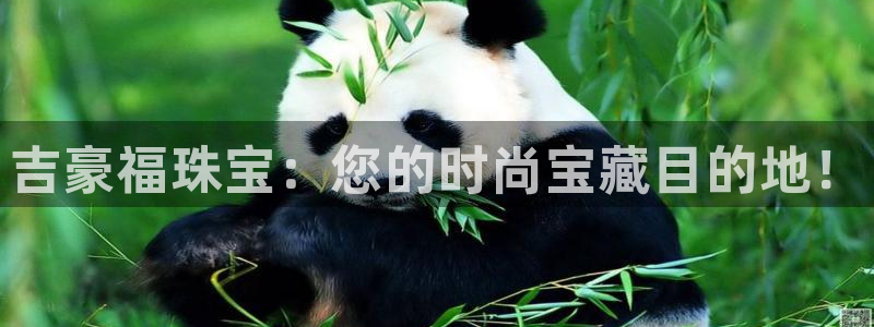 新宝5注册平台：吉豪福珠宝：您的时尚宝藏目的地！