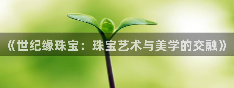 新宝5得74OOO5：《世纪缘珠宝：珠宝艺术与美学的交融》