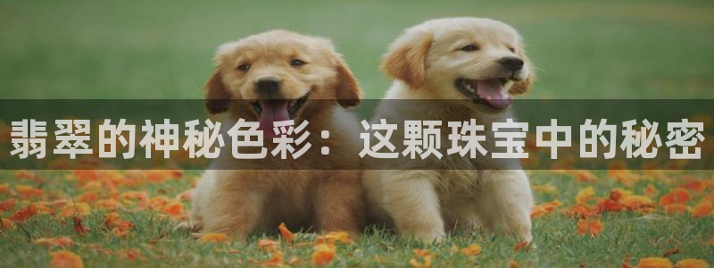 新宝5主管：翡翠的神秘色彩：这颗珠宝中的秘密