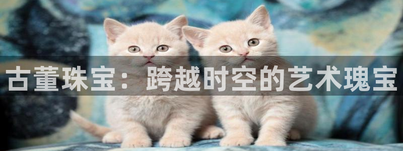 新宝5登录入口网址：古董珠宝：跨越时空的艺术瑰宝