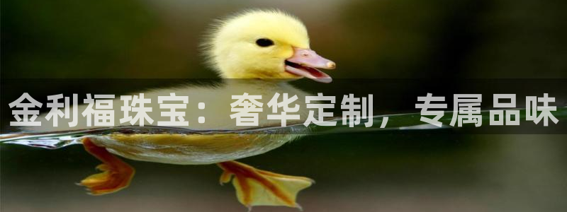 新宝5为啥开：金利福珠宝：奢华定制，专属品味