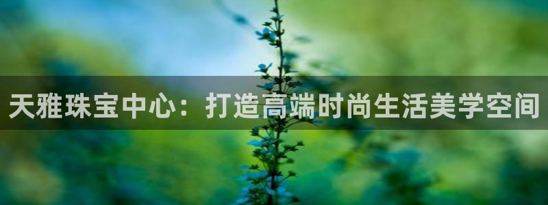 新宝速5：天雅珠宝中心：打造高端时尚生活美学空间