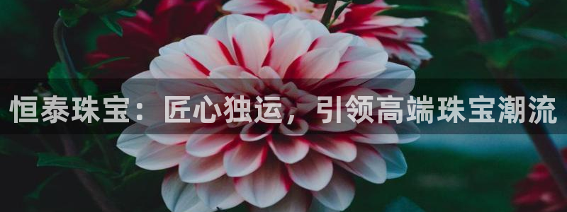 新宝5登录界面：恒泰珠宝：匠心独运，引领高端珠宝潮流