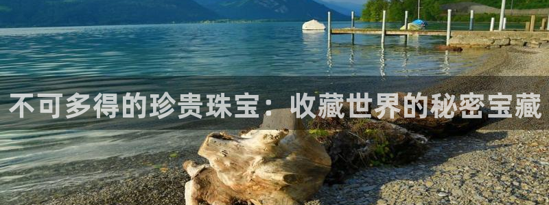 新宝5湫333 00：不可多得的珍贵珠宝：收藏世界的秘密宝藏