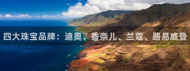 新宝xb5：四大珠宝品牌：迪奥、香奈儿、兰蔻、路易威登