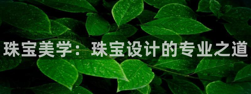 新宝5日740005蔻：珠宝美学：珠宝设计的专业之道