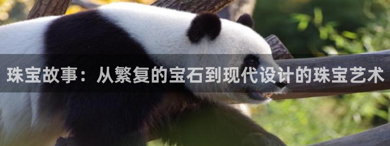 新宝5官网霸：珠宝故事：从繁复的宝石到现代设计的珠宝艺术