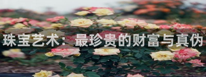 新宝5策略：珠宝艺术：最珍贵的财富与真伪