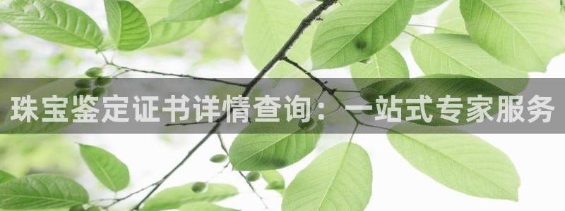 新宝5娱乐代理：珠宝鉴定证书详情查询：一站式专家服务
