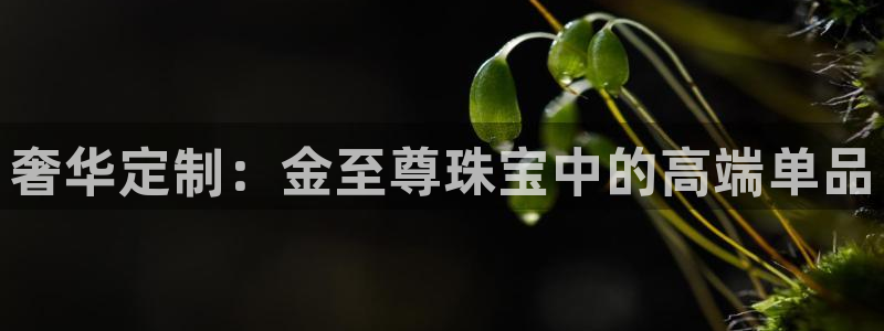 2022新宝骏rs 5：奢华定制：金至尊珠宝中的高端单品