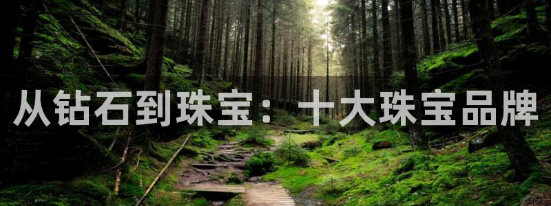 新宝5登录测速中心：从钻石到珠宝：十大珠宝品牌