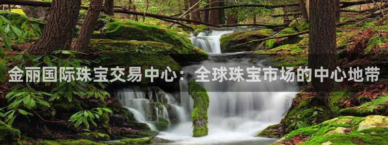 新宝3得74OO5：金丽国际珠宝交易中心：全球珠宝市场的中心地带