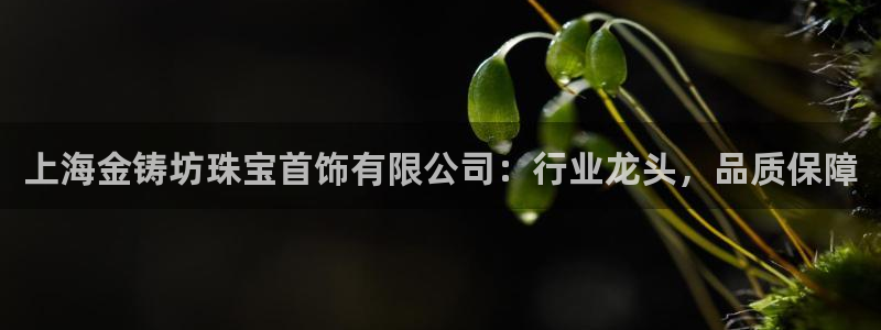 新宝5：上海金铸坊珠宝首饰有限公司：行业龙头，品质保障