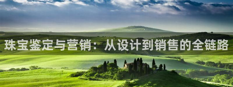 新宝5挂机：珠宝鉴定与营销：从设计到销售的全链路