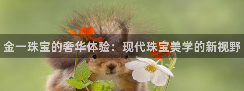 新宝 5测速：金一珠宝的奢华体验：现代珠宝美学的新视野