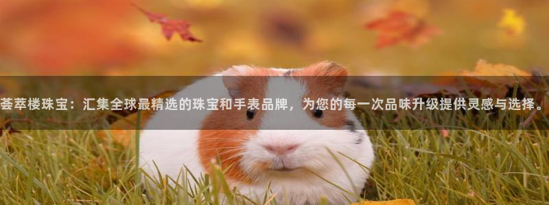 新宝5平台注册：荟萃楼珠宝：汇集全球最精选的珠宝和手表品牌，为您的每一次品味升级