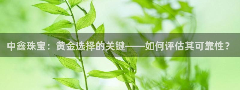 新宝5直属：中鑫珠宝：黄金选择的关键——如何评估其可靠性？