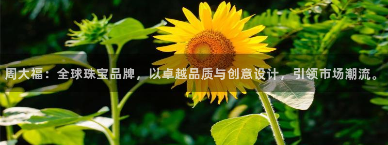 新宝5日谢29999：周大福：全球珠宝品牌，以卓越品质与创意设计，引领市场潮流。