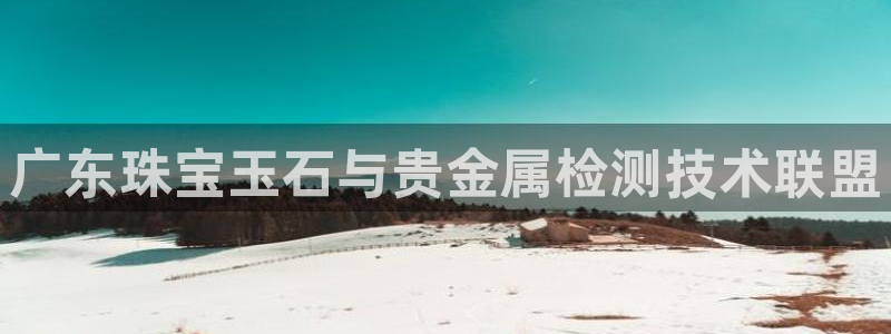 新宝5谠631257：广东珠宝玉石与贵金属检测技术联盟