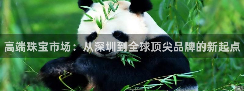 新宝5线路登录：高端珠宝市场：从深圳到全球顶尖品牌的新起点