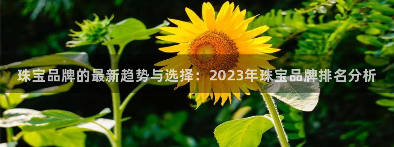 新宝5登录测速中心：珠宝品牌的最新趋势与选择：2023年珠宝品牌排名分析