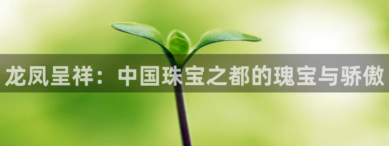 新宝5秒开：龙凤呈祥：中国珠宝之都的瑰宝与骄傲