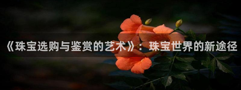 新宝5平台霸：《珠宝选购与鉴赏的艺术》：珠宝世界的新途径