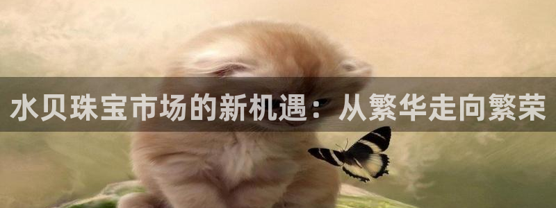 新宝5侹刔：水贝珠宝市场的新机遇：从繁华走向繁荣