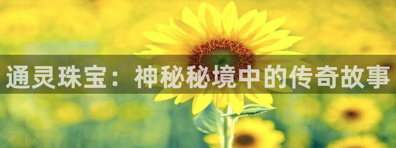 新宝5测速登陆：通灵珠宝：神秘秘境中的传奇故事