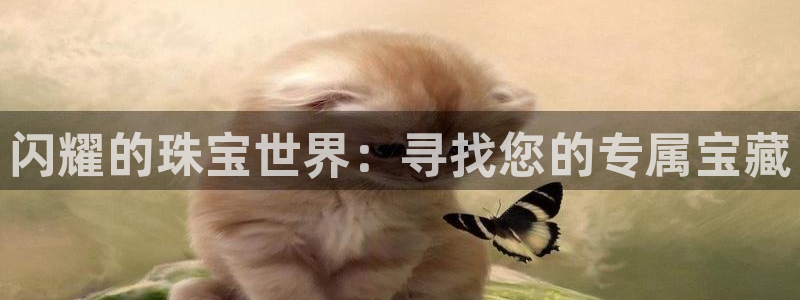 新宝5登录：闪耀的珠宝世界：寻找您的专属宝藏