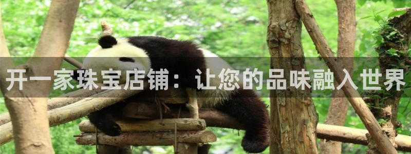 新宝5源码：开一家珠宝店铺：让您的品味融入世界