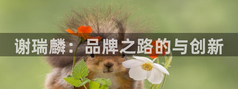 新宝5手机登录：谢瑞麟：品牌之路的与创新