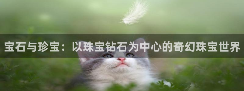 新宝5娱乐同：宝石与珍宝：以珠宝钻石为中心的奇幻珠宝世界