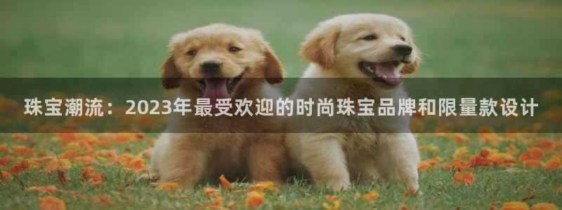 新宝5飞355051：珠宝潮流：2023年最受欢迎的时尚珠宝品牌和限量款设计