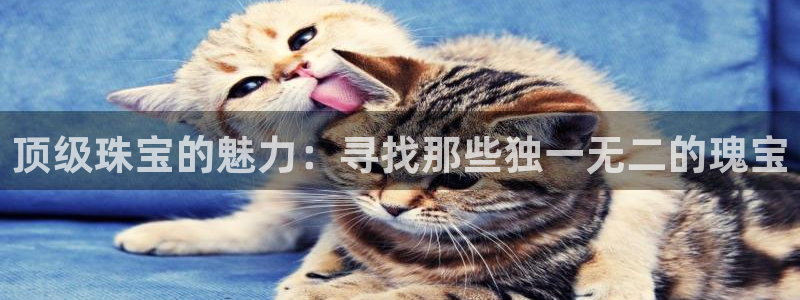 新宝5娱乐同：顶级珠宝的魅力：寻找那些独一无二的瑰宝