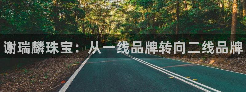 p5r新宝魔：谢瑞麟珠宝：从一线品牌转向二线品牌
