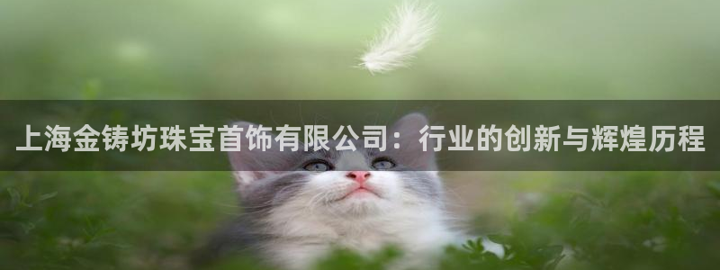 新宝5平台注册：上海金铸坊珠宝首饰有限公司：行业的创新与辉煌历程