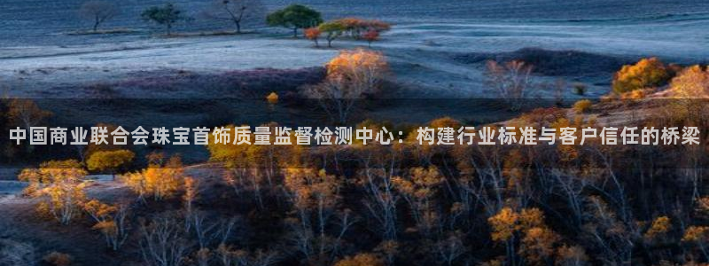 新宝注5册：中国商业联合会珠宝首饰质量监督检测中心：构建行业标准与客户信任的桥梁