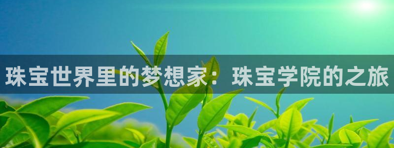 新宝娱乐5：珠宝世界里的梦想家：珠宝学院的之旅
