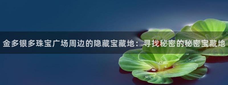 新宝5总代：金多银多珠宝广场周边的隐藏宝藏地：寻找秘密的秘密宝藏地