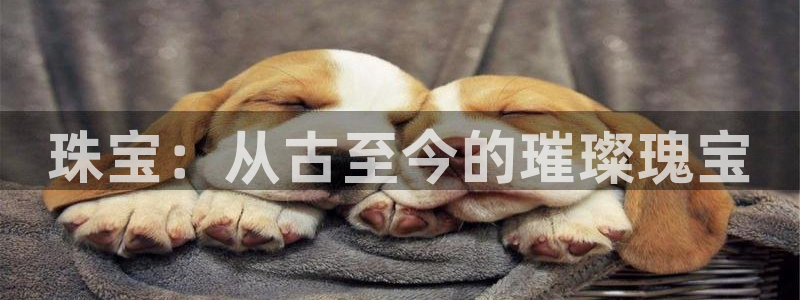 新宝5彩票是正规平台吗：珠宝：从古至今的璀璨瑰宝