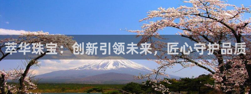 新宝5注册流程：萃华珠宝：创新引领未来，匠心守护品质