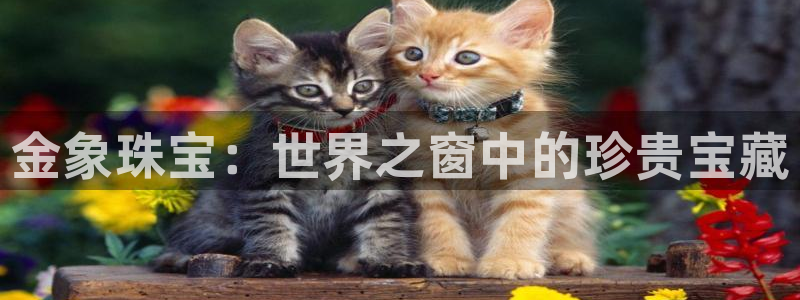 新宝5培训：金象珠宝：世界之窗中的珍贵宝藏