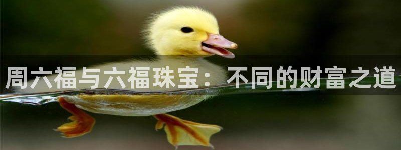 新宝5现在还能玩吗：周六福与六福珠宝：不同的财富之道