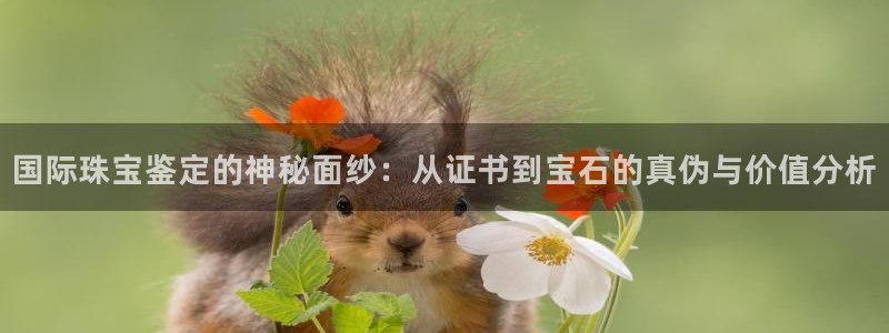 新宝5测速登录：国际珠宝鉴定的神秘面纱：从证书到宝石的真伪与价值分析