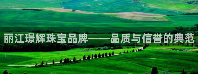 新宝5找找74OOO5：丽江璟辉珠宝品牌——品质与信誉的典范