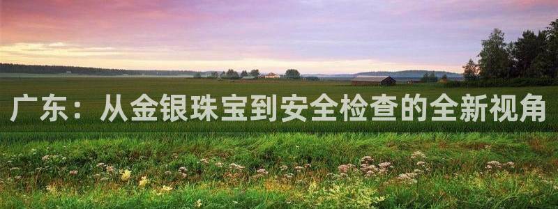 新宝5手机登陆：广东：从金银珠宝到安全检查的全新视角