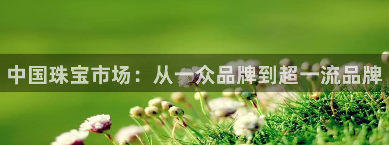 新宝5娱乐注册：中国珠宝市场：从一众品牌到超一流品牌